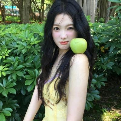 至上之法
