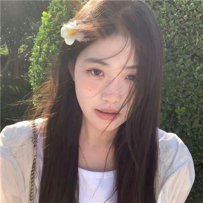教室里的一头牦牛